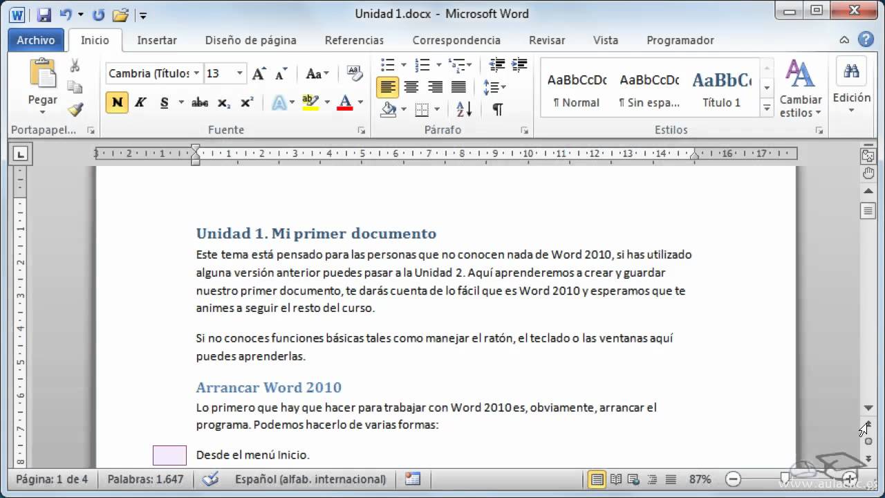 microsoft word 2010 portable